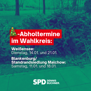 Weihnachtsbaumabholung durch die BSR 2025