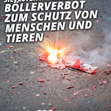 Silvester in Pankow: Böllerverbot zum Schutz von Menschen und Tieren