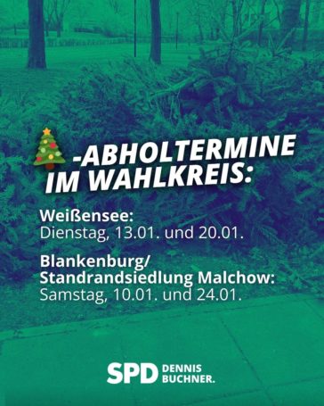 Weihnachtsbaumabholung durch die BSR 2026
