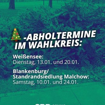 Weihnachtsbaumabholung durch die BSR 2026