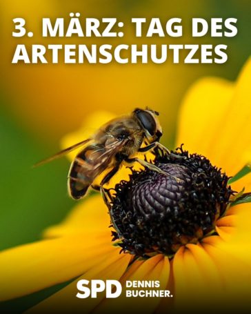 Tag des Artenschutzes am 3. März 2026 – Verantwortung übernehmen für unsere gemeinsame Zukunft
