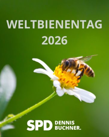 20. Mai – Weltbienentag